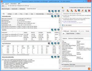 Die Konsole für Support-Techniker stellt umfassende Informationen über das ferngesteuerte System – hier einen Linux-Rechner – zur Verfügung