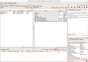 Der Datentransfer zwischen einem Linux-Host und einem Windows-Client