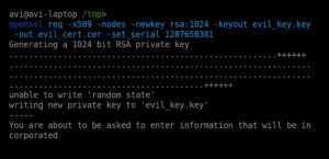 Abbildung 5: Spoofing des TeamViewer-Zertifikats