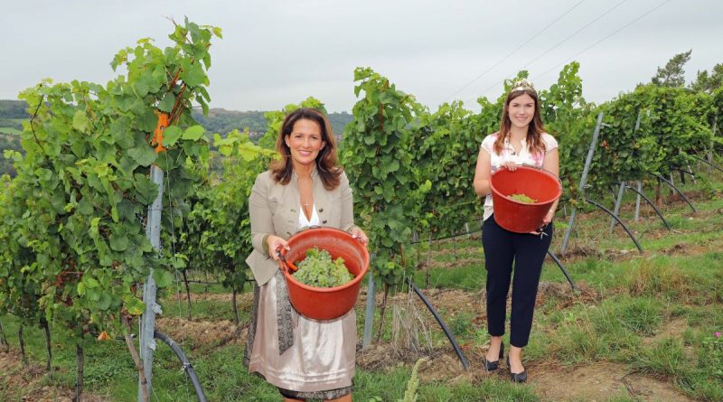 Staatsministerin Michaela Kaniber und Fränkische Weinkönigin Carolin Meyer eröffnen Weinlese in Franken. Foto: Rudi Merkl