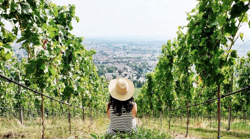 Wartberg in Heilbronn - Foto: W-GmbH Susi Maier