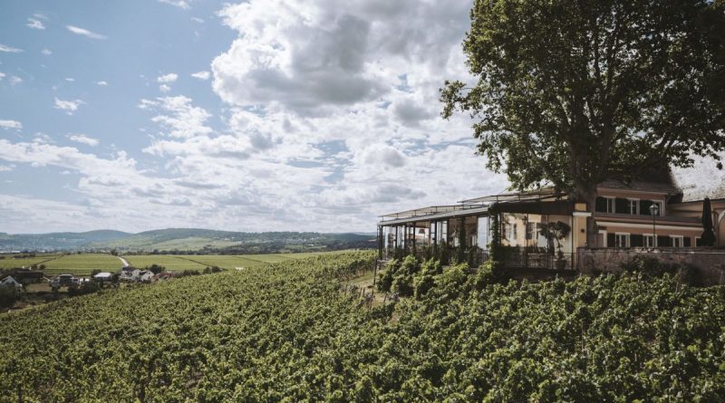 Schlossschänke - Foto: Schloss Johannisberg