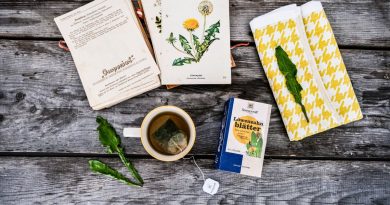 Kräuterwissen bewahren – Tradition trifft Innovation